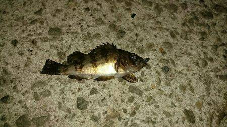 連休最終日に…