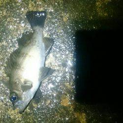 雨の日は釣れる？