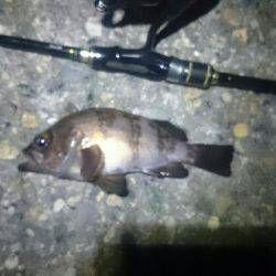 タイミングが？