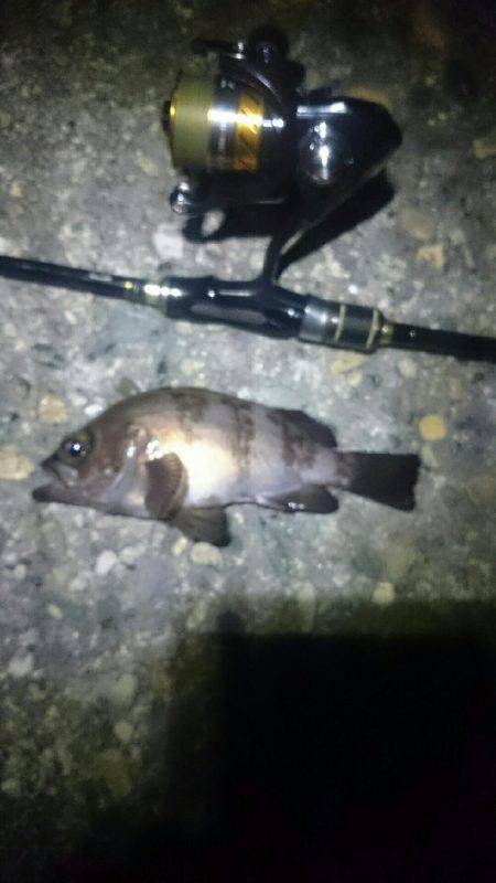 タイミングが？