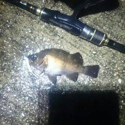 雨にもまけず。