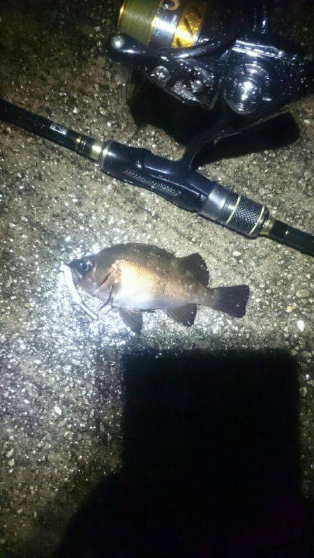 雨にもまけず。