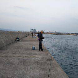 渋いなりにも何とか。。。