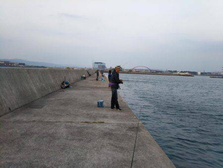 渋いなりにも何とか。。。