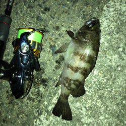 メバリング ツ抜け!