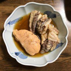 明石沖タイサビキ