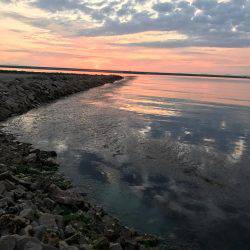 楽しいメバリング！