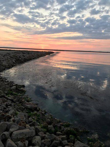 楽しいメバリング！