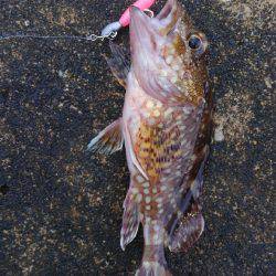 ミップル様周辺にて(笑)。