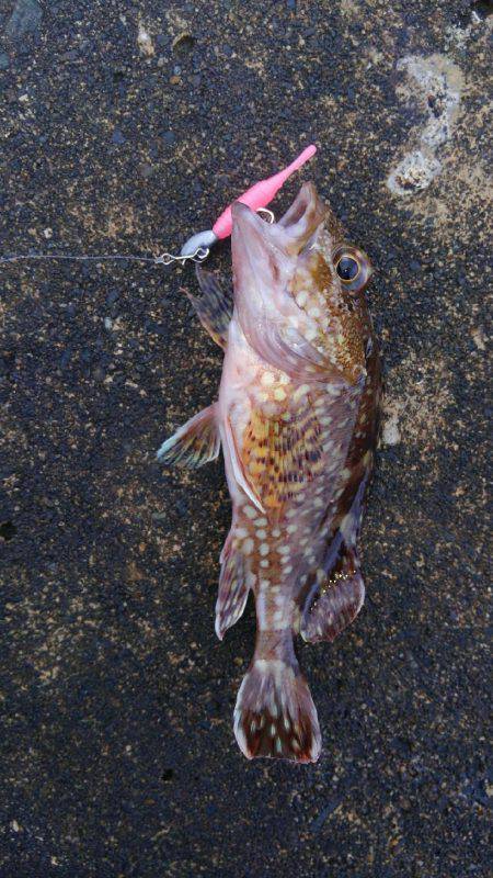 ミップル様周辺にて(笑)。