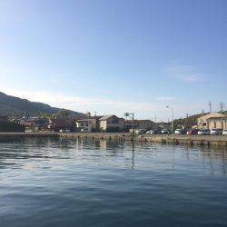 はじめてのメバル