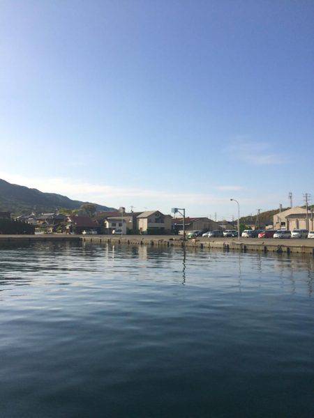 はじめてのメバル