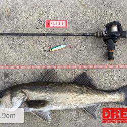 岸ジギ始まった