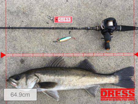 岸ジギ始まった