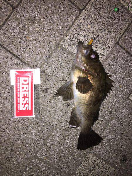 GWメバリング2日目！