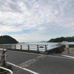 やっとのチーバス