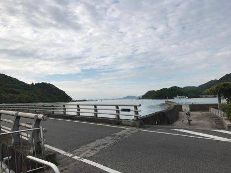 やっとのチーバス