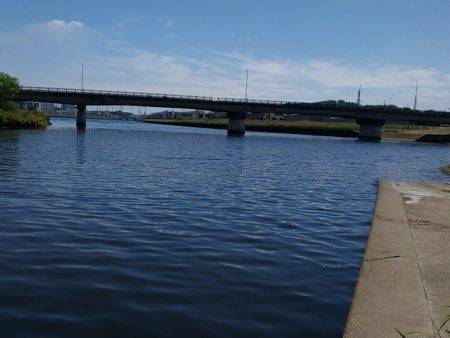 テナガエビ釣行in矢上川