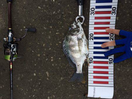 リバーチニング@国分川