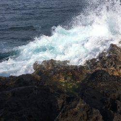 いつも通りのサイズ