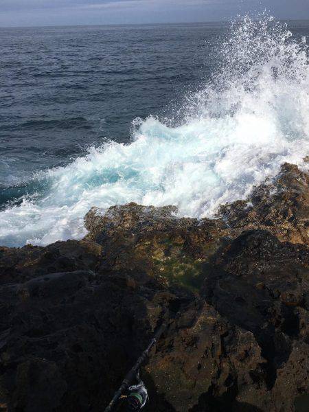 いつも通りのサイズ