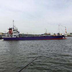 またまたエビ撒き