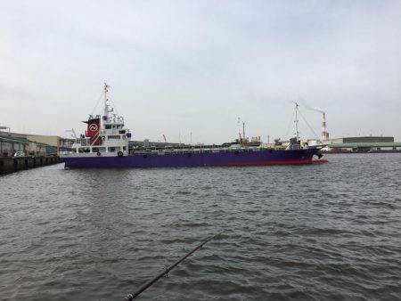 またまたエビ撒き