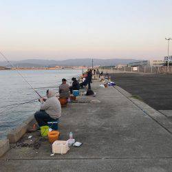 アジング勉強中！