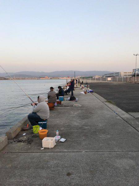 アジング勉強中！