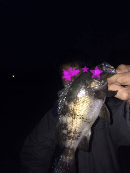 ランガンメバリング