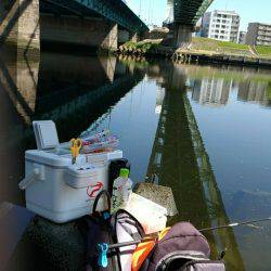 テナガエビ釣行in多摩川