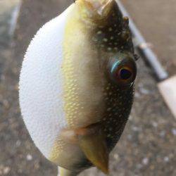 ランガンで攻め続けた結果…