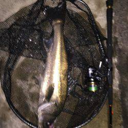 残りバチシー！