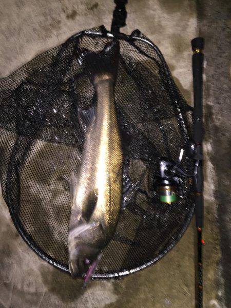 残りバチシー！