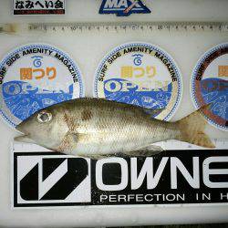 再度、煙樹ヶ浜釣行のつもりが…