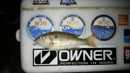 再度、煙樹ヶ浜釣行のつもりが…