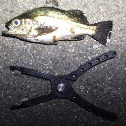 未知のポイントへ…