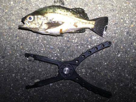 未知のポイントへ…