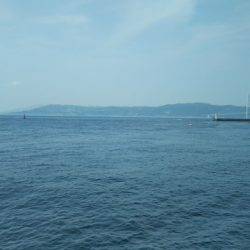 チヌを釣りたかったけど…