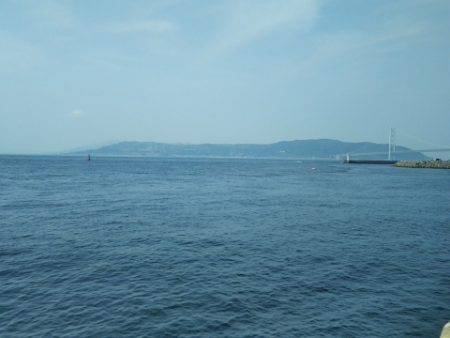 チヌを釣りたかったけど…