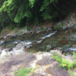 市川三郷町 芦川渓谷 アマゴ3匹