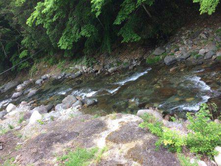 市川三郷町 芦川渓谷 アマゴ3匹