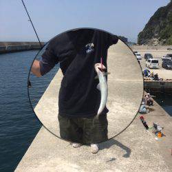 ショアジギ&穴釣り