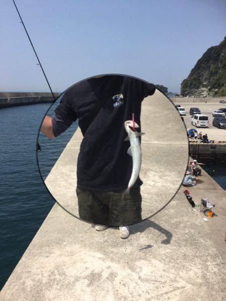 ショアジギ&穴釣り