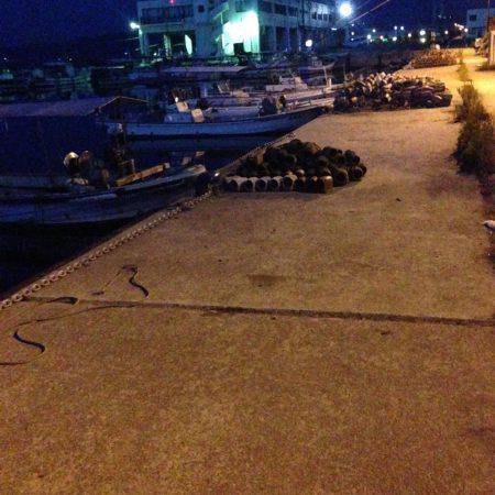 ガシメバリング！！朝まづめ狙い