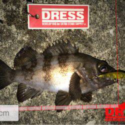 １つのプラグでしか反応ない…