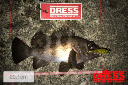 １つのプラグでしか反応ない…