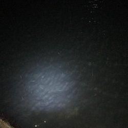 爆釣ポイント探し！