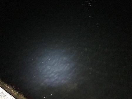 爆釣ポイント探し！