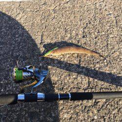 朝と夕でエソツー